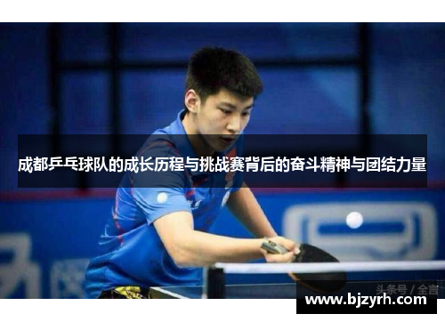 成都乒乓球队的成长历程与挑战赛背后的奋斗精神与团结力量
